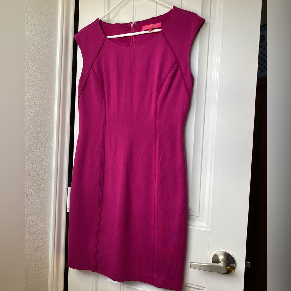 Sheath Dress Hot Pink Barbie